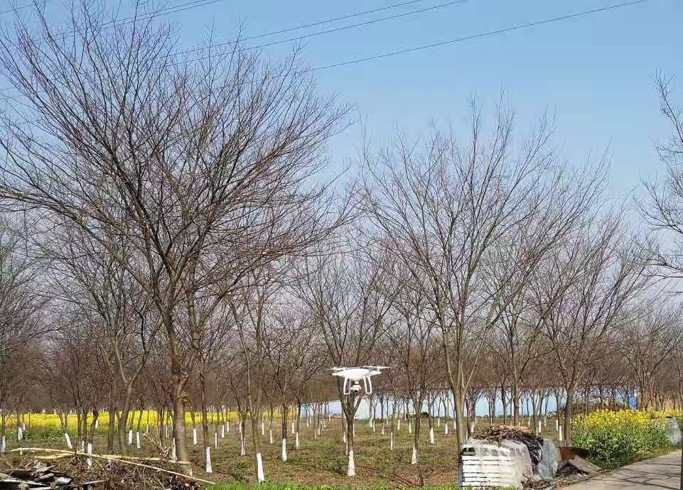 51漫画
有限公司 51漫画
有限公司