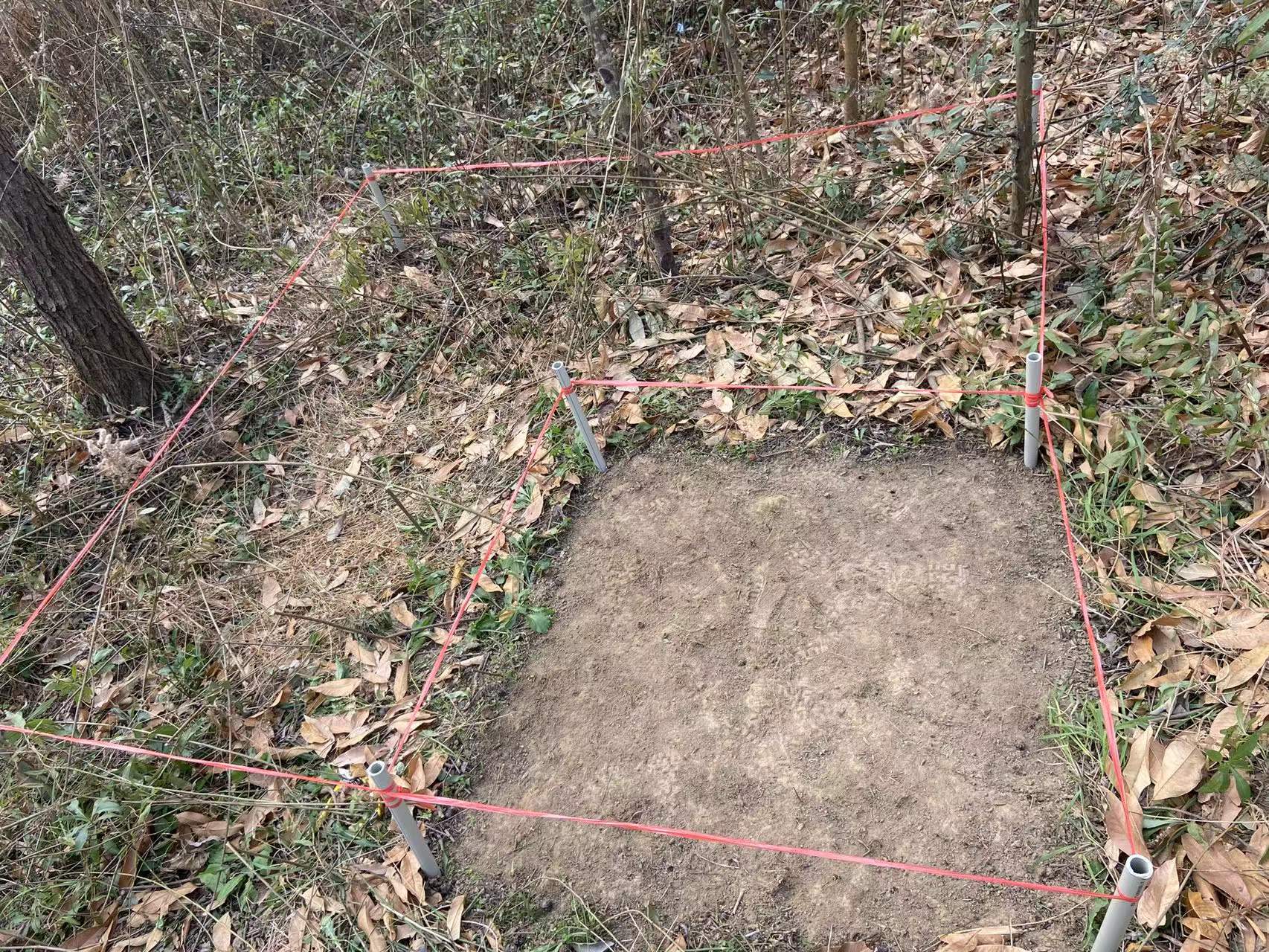 51漫画
有限公司