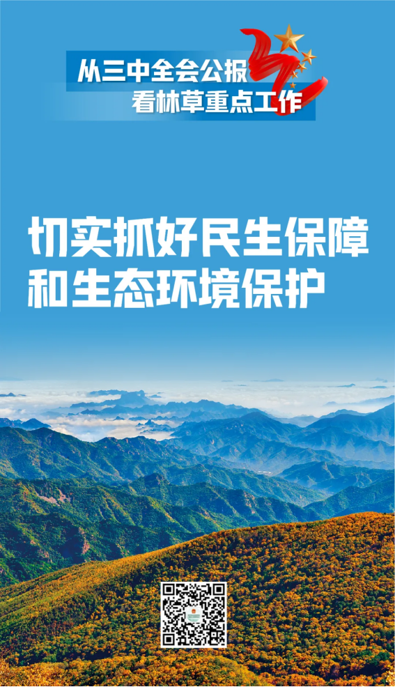 51漫画
有限公司