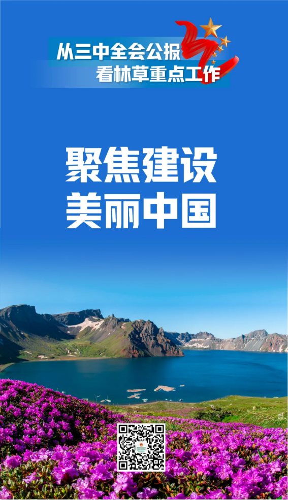 51漫画
有限公司