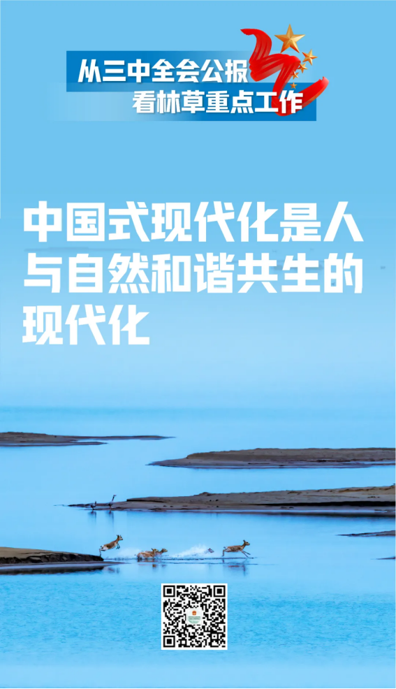 51漫画
有限公司