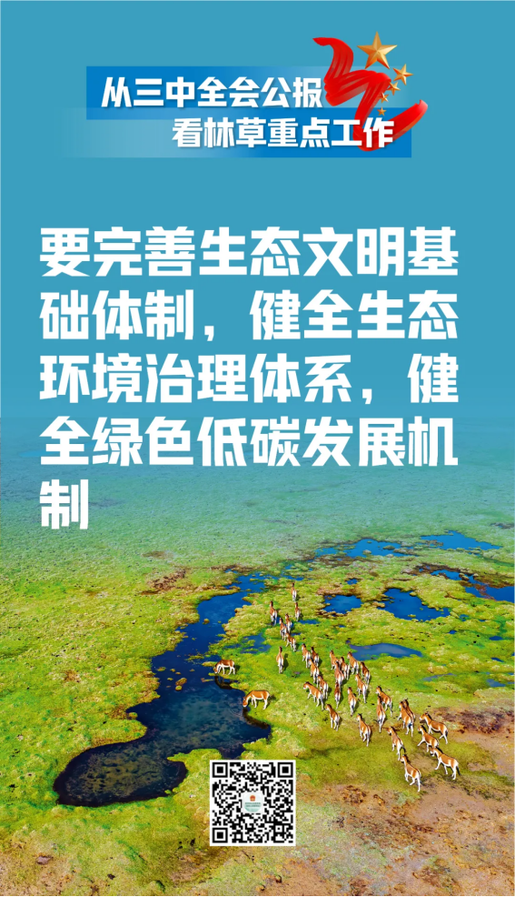 51漫画
有限公司