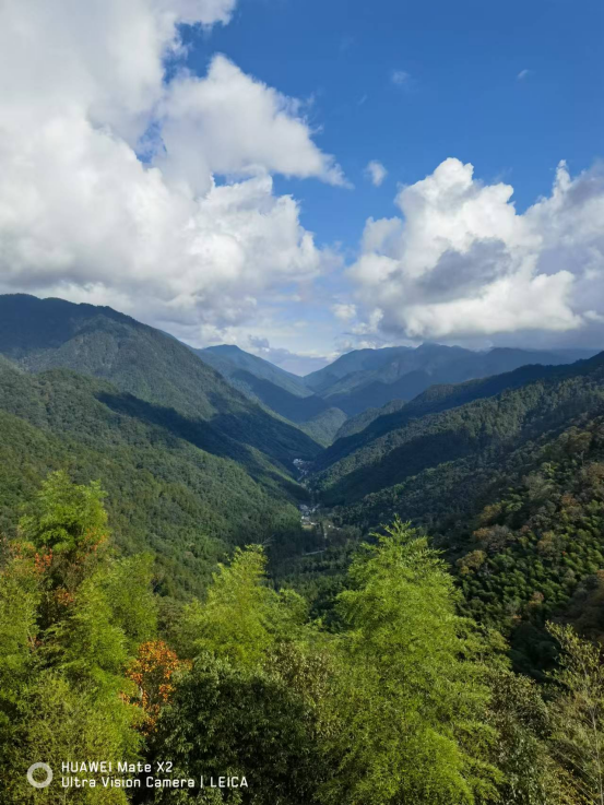 51漫画
有限公司