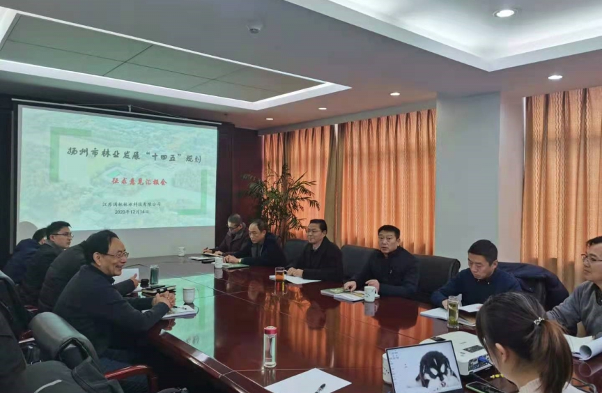 【2020精彩回顾】┅→51漫画
“十四五”发展规划篇