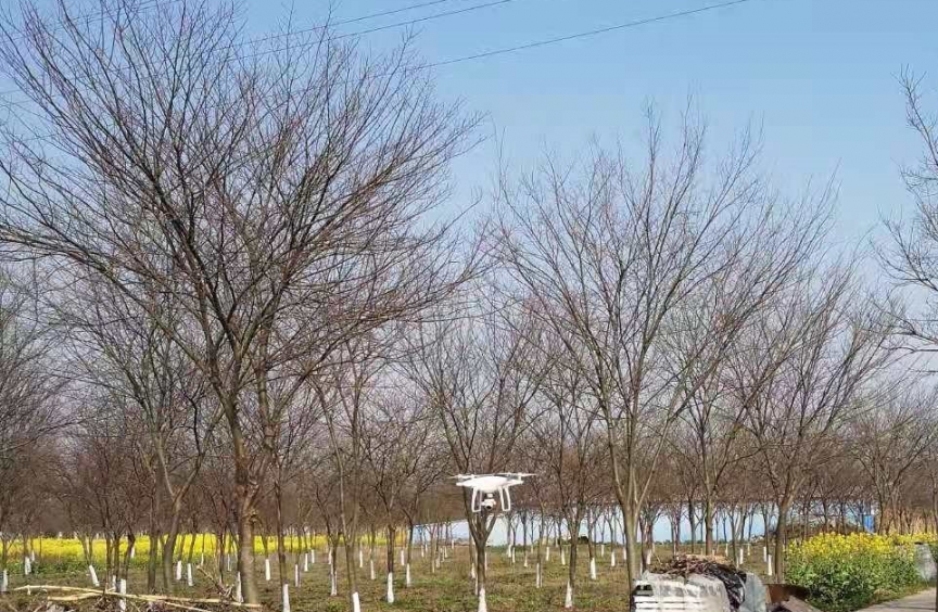 【2020精彩回顾】┅→外业调查瞬间