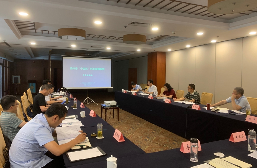 扬州市“十四五”51漫画
发展规划通过专家评审