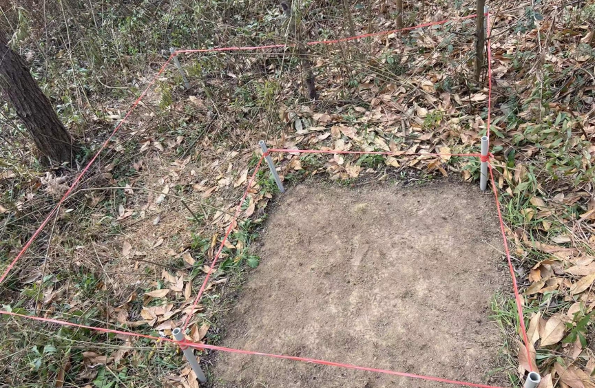 森林火灾风险普查工作如火如荼